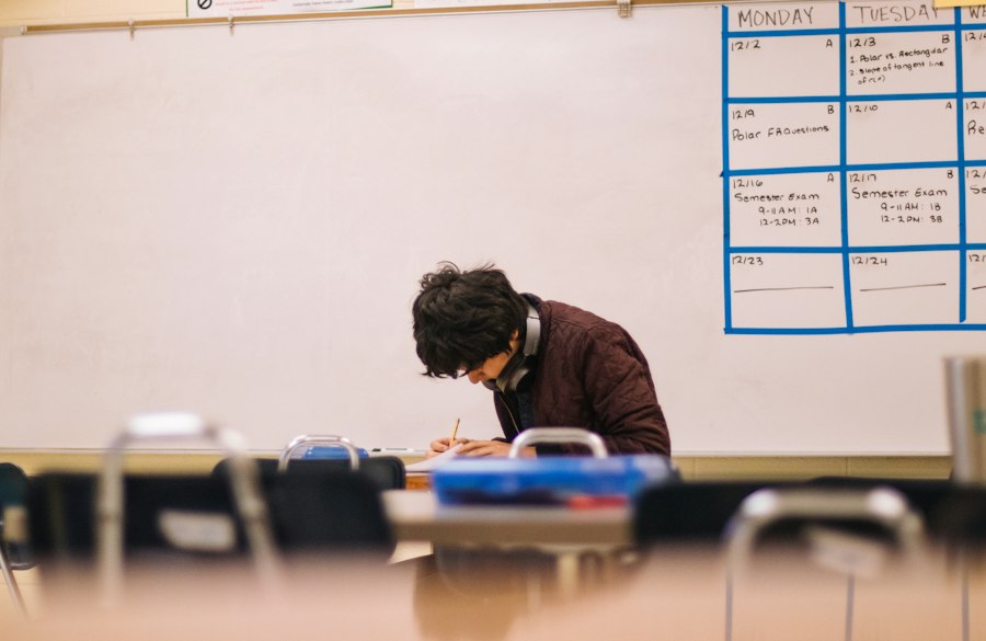 A pupil studying